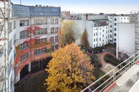 Hinterhof mit Bäumen, Herbstlaub und weißem Häusern, Blick von oben.