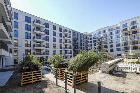 Innenhof eines Neubaus mit Baustelle, Paletten und Büschen im Vordergrund.